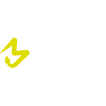 Black Mamba