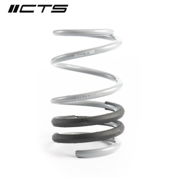 CTS Turbo Audi 8V S3/RS3 Lowering Springs
