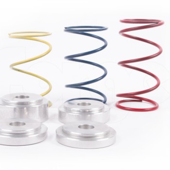 FMDVRAYV2 Spring Kit