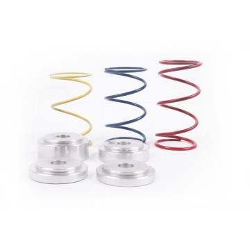FMDVRAYV2 Spring Kit