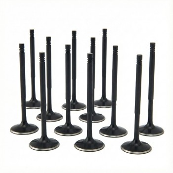 Audi / VW 1.8T 20v ZRP Std Black Nitride Intake Valves