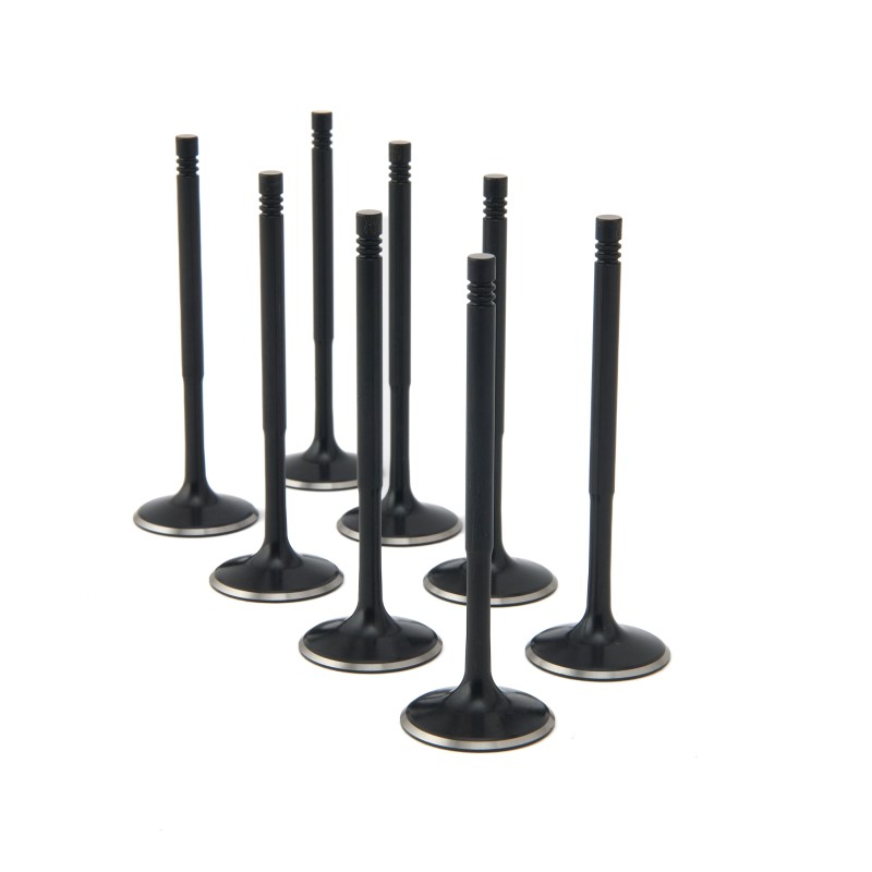 Audi / VW 2.0L TFSI (EA888, EA113) ZRP Std Intake Black Nitride Valves
