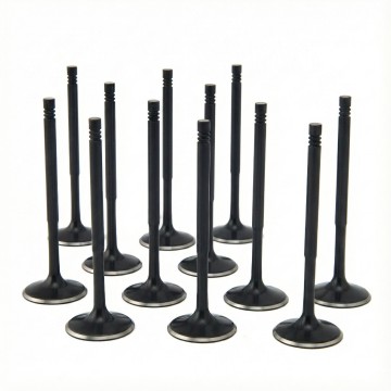 BMW 3.0L N55, S55 ZRP Std Intake Black Nitride Valves