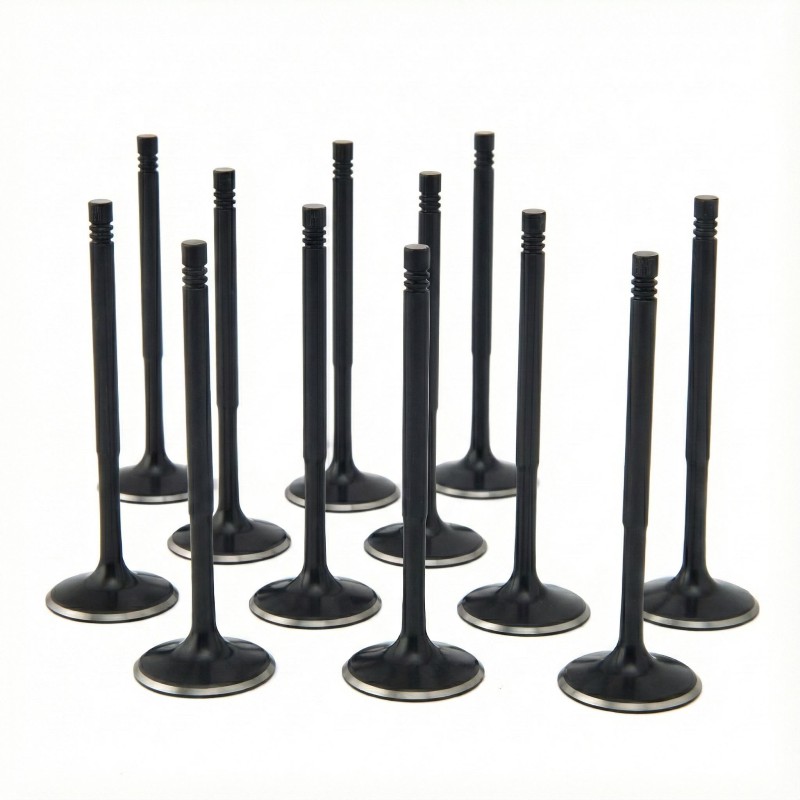 BMW 3.0L N55, S55 ZRP Std Intake Black Nitride Valves