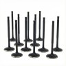 BMW 3.0L N55, S55 ZRP Std Intake Black Nitride Valves